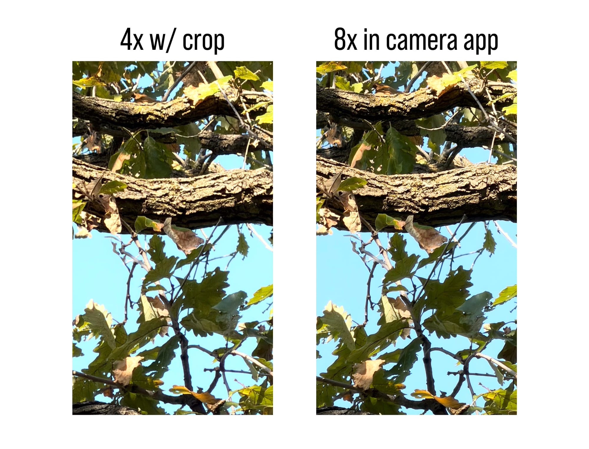 Yes, the 2x and 8x "lenses" on the iPhone 17 Pro are legit and you should use them