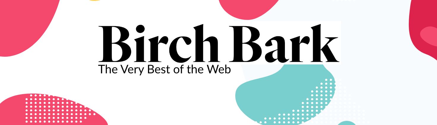 Introducing Birch Bark: An Email Newsletter Experiment