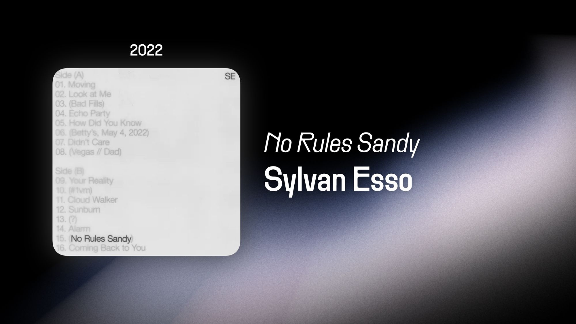 No Rules Sandy (365 Albums)