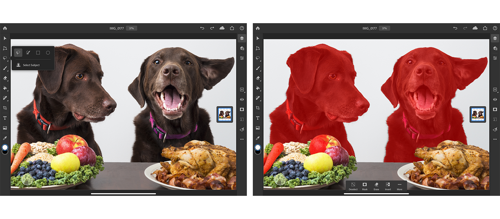 Adobe Adds Smart Select to Photoshop for iPad