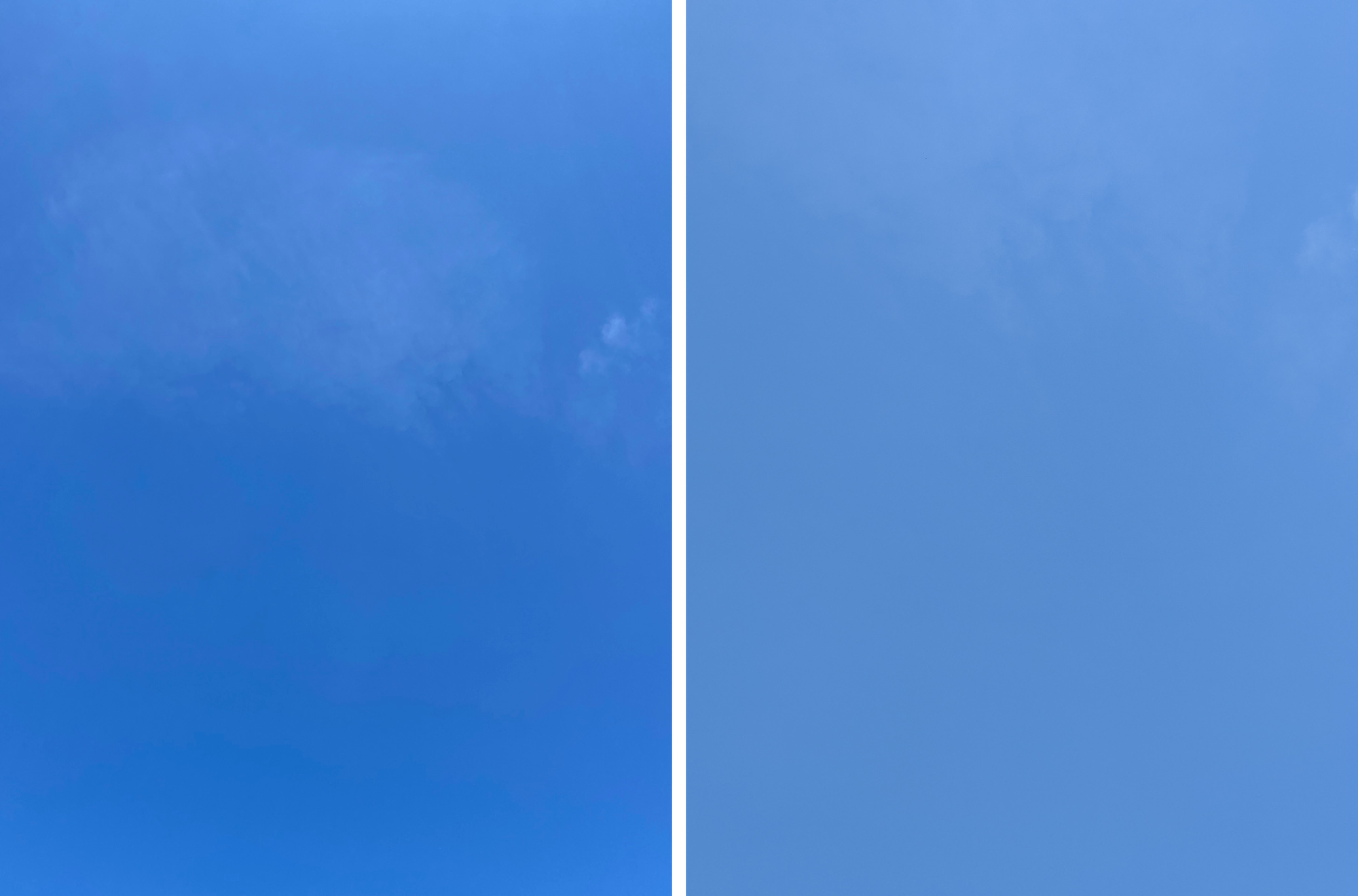 iPhone 11 Pro and Pixel 4 Cameras: Color temp, Color Quality, and Consistency Across Lenses