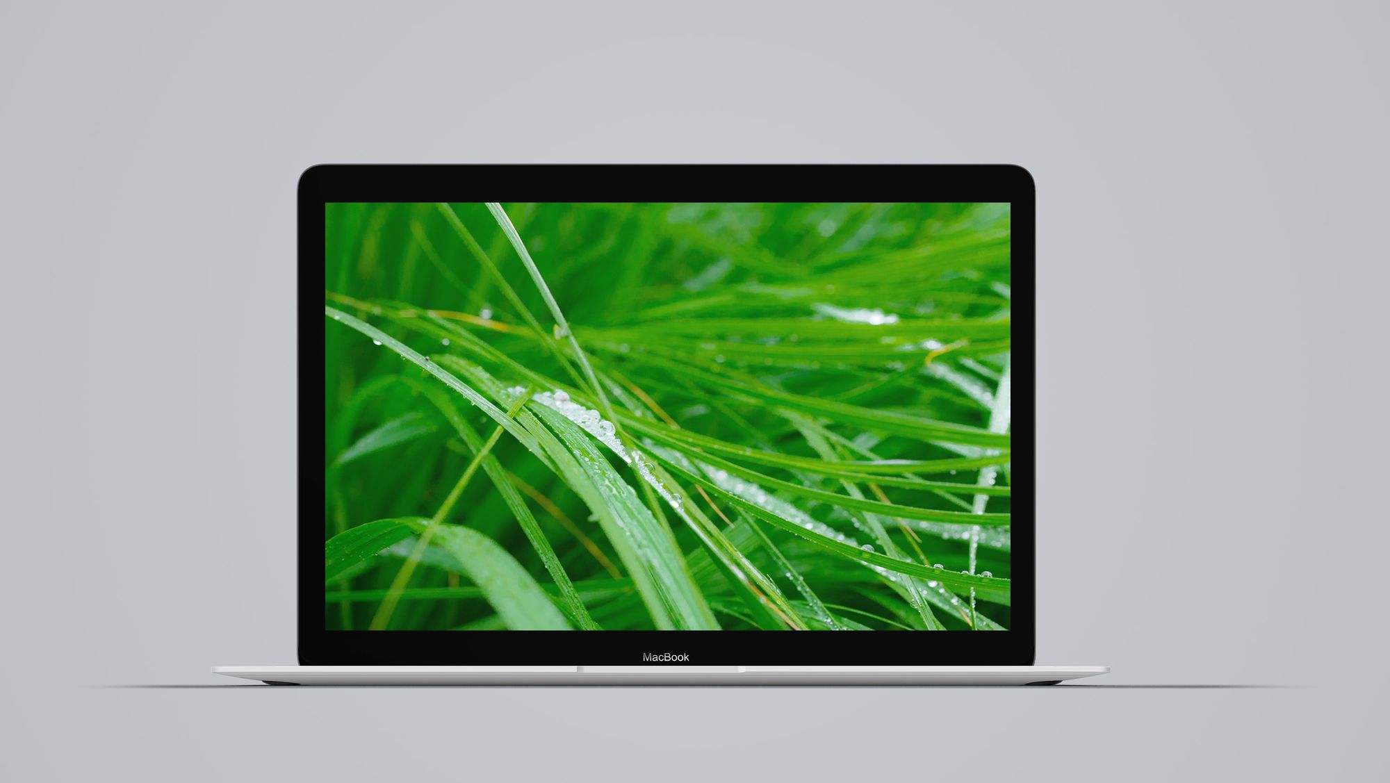 Mac OS X Retro Grass Wallpapers