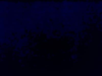 The iPhone 16 camera controversy that wasn't